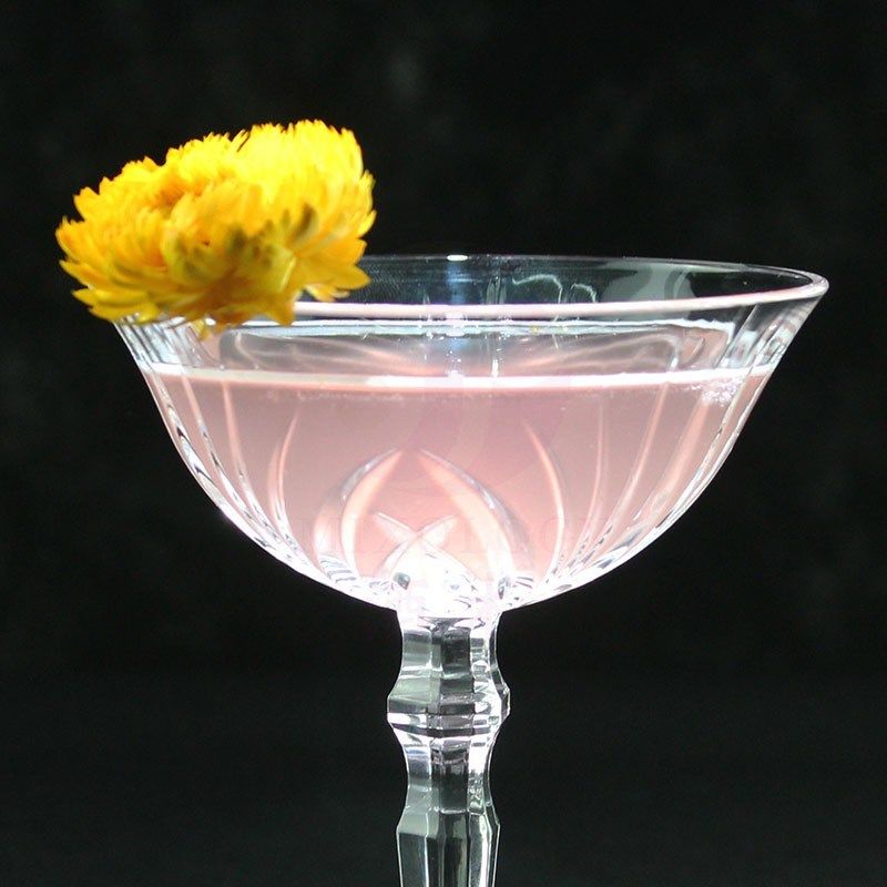 酒术德国进口g水晶玻璃碟形香槟杯刻花鸡尾酒杯宽口飞碟马天尼杯,餐饮具,鸡尾酒杯,淘宝优惠券,粉丝福利购,淘宝优惠卷