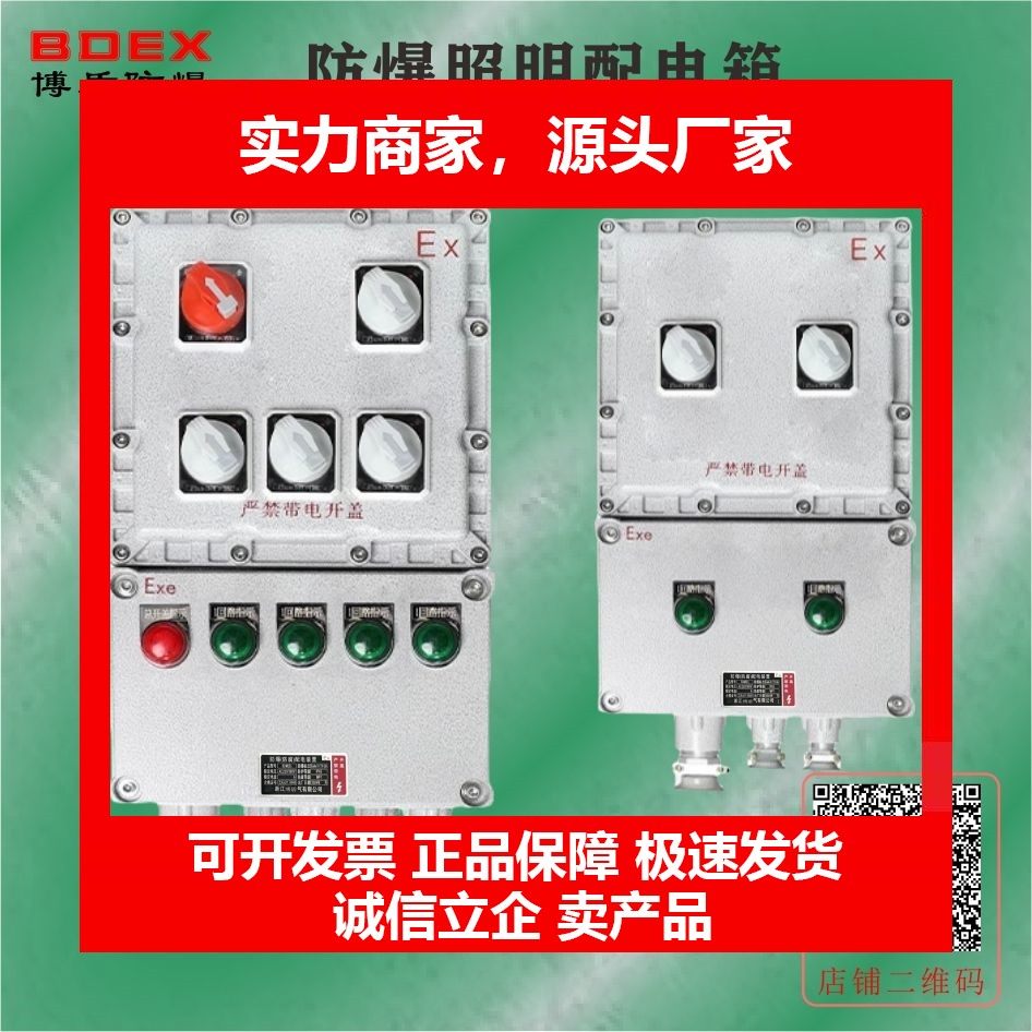 德国十大品牌防爆照明动力配电箱 插座检修箱 控制箱 操作柱