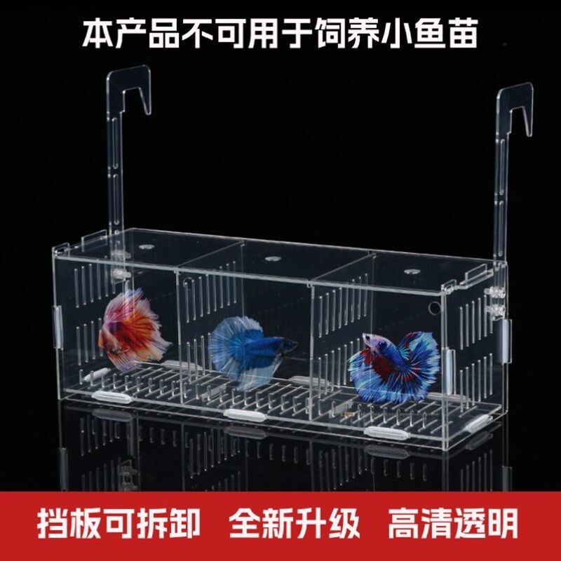 现货速发鱼缸水培植物固定架水草定植杯草缸造景盆亚克力大号盒定