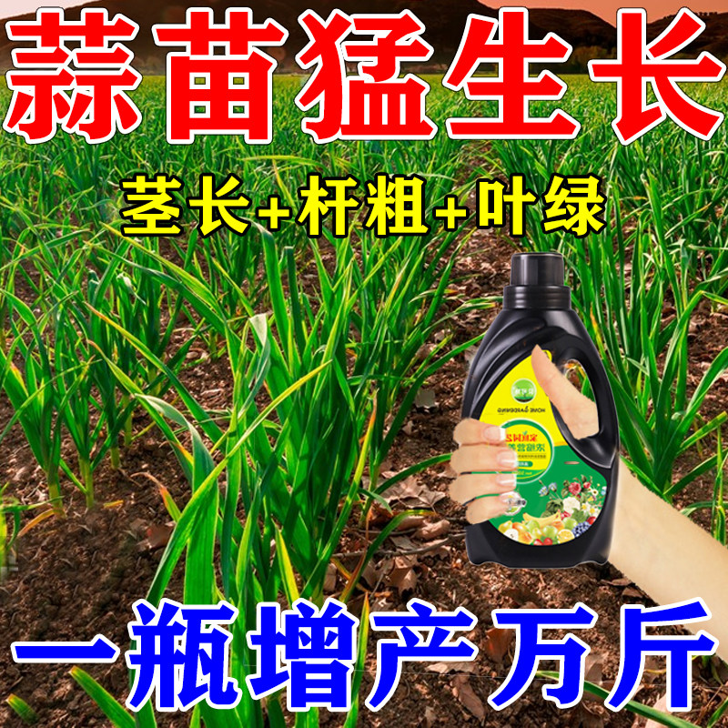 现货速发蒜苗药肥料大蒜增产水溶肥速长膨大剂素营养液叶面肥猛长
