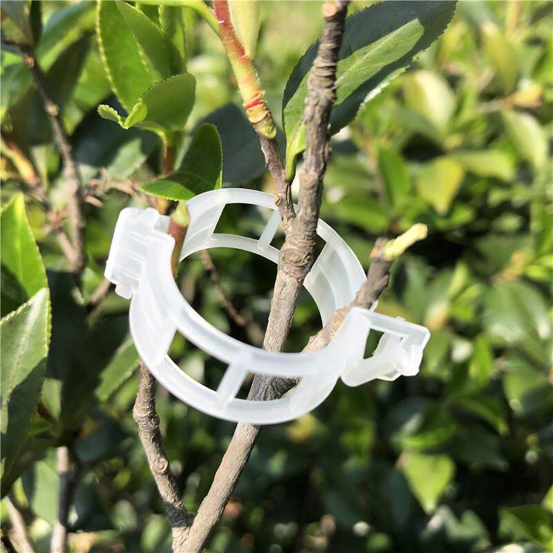 现货速发番茄夹吊秧夹绑蔓夹植物固定夹番茄夹子塑料夹子