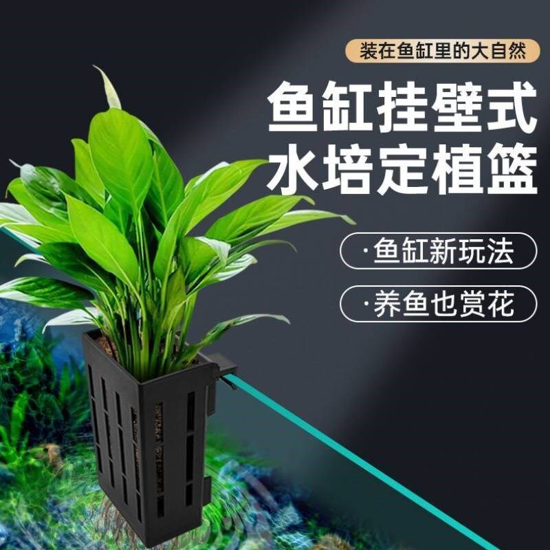 现货速发鱼缸水培植物篮家用水草种植杯壁挂式挺水植物定植篮鱼缸