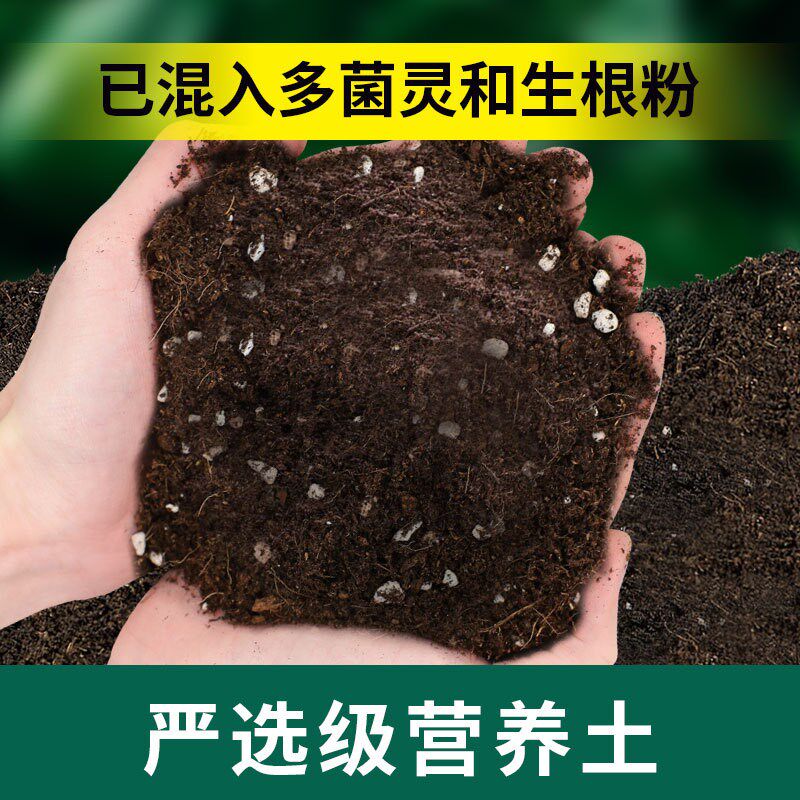 现货速发营养土养花通用型绿植花土种花种菜家用有机土壤种植花泥