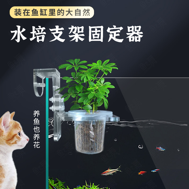 现货速发鱼缸水培植物固定架水草杯壁挂定植篮造景盆水生植物种绿