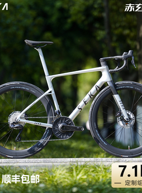 SEKA SPEAR碳纤维7.09公斤公路车架综合碟刹定制组装自行车