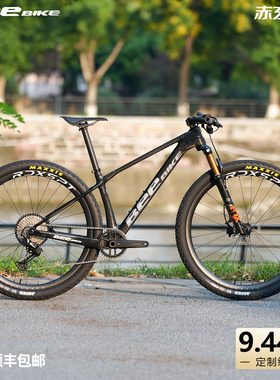 BEEBIKE山地越野避震自行车定制组装9.44kg碳纤维29寸油碟单盘
