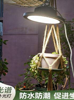 室内植菜物补光灯le莓d全光谱NSB热植专用生灯草长番茄蔬花卉仿太