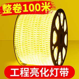 饰室外灯条 led灯带户外防水220v高压超亮家用客厅吊顶工程三色装