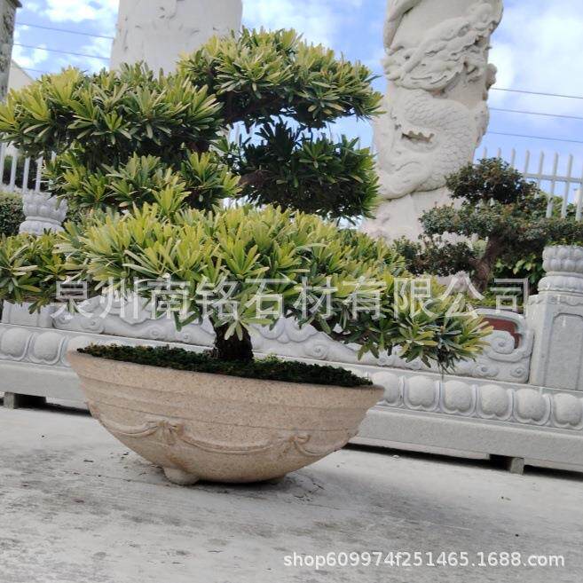 石雕hnb155雕树缸大理石青石芝麻黄白锈石中四鱼缸树池花缸然天石