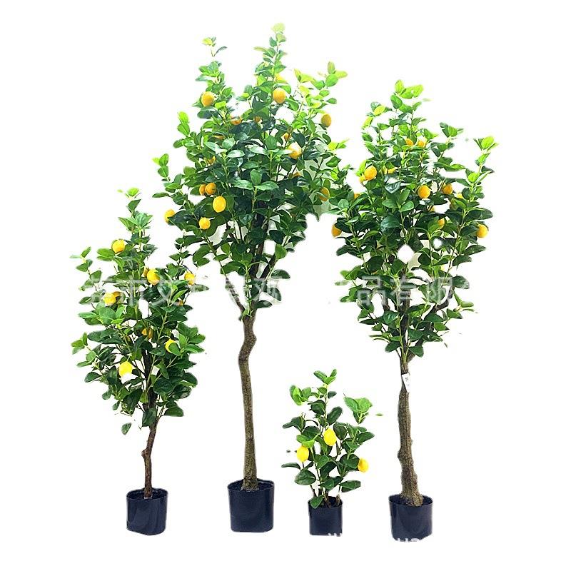 柠檬家居清新植物假果树盆栽园林景树观人AL-009造绿植盆小景
