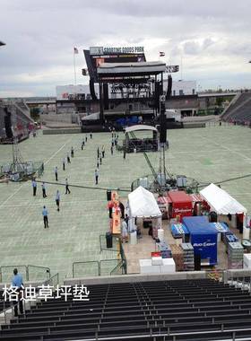 厂快速拼装坪保垫护板展会活动保护SOF运动跑道地板塑料草地家