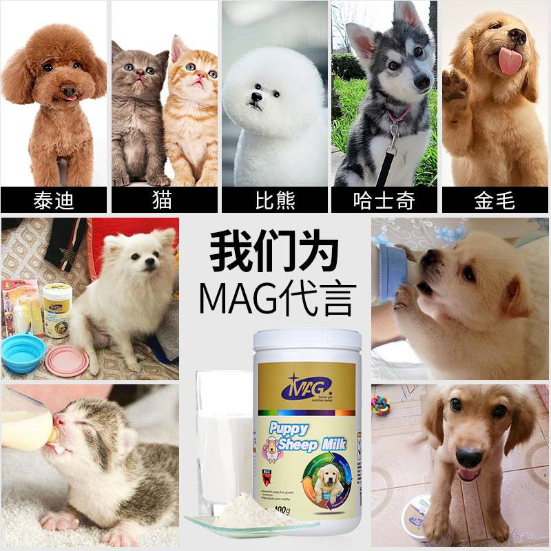 MAG羊奶粉狗狗宠物专用幼犬成犬比熊泰迪狗狗用补钙幼猫猫咪奶粉