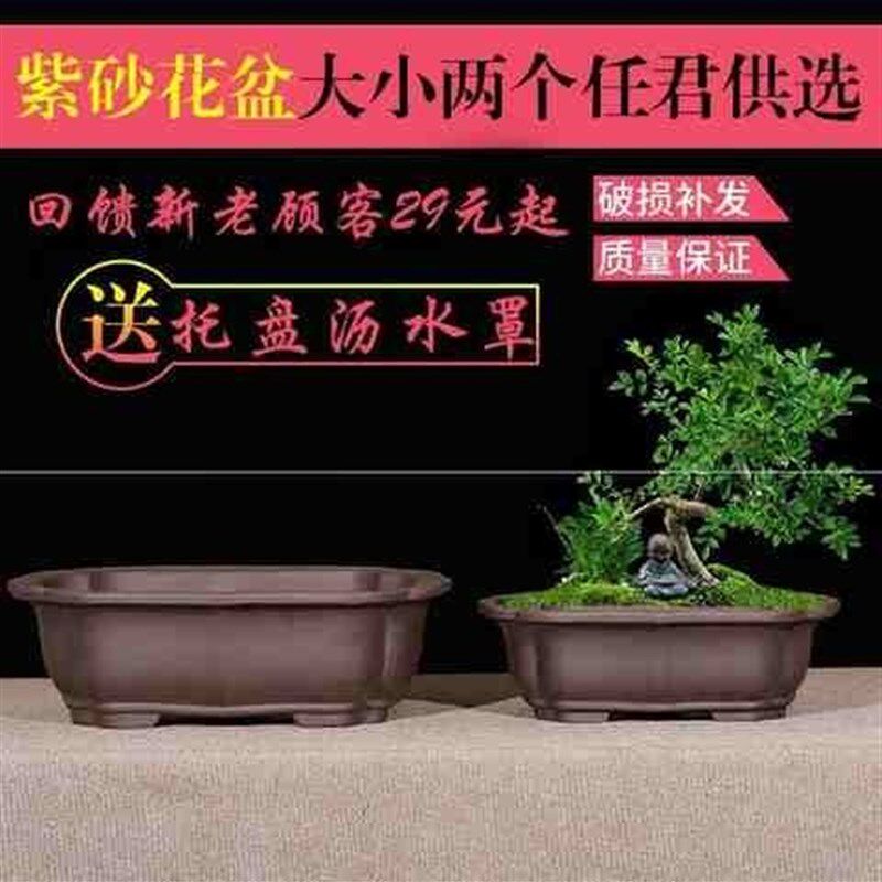现货速发多肉花盆长条型矮扁大口景观长方形花卉绿植造景创意绿植