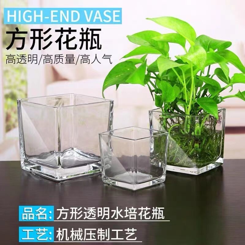 现货速发简约透明培器皿正方形玻璃花瓶水养绿萝郁金香台面鱼缸摆