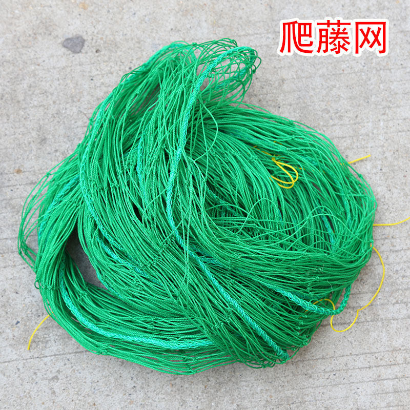 现货速发植物爬藤网园艺花架网格台爬藤架黄瓜豆角牵牛花牵引攀爬