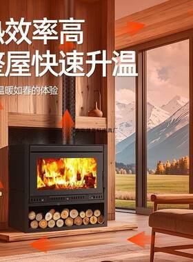 燃木真火壁炉家用别暖墅民宿商CWI用铸铁取器室内柴炉火装饰炉壁