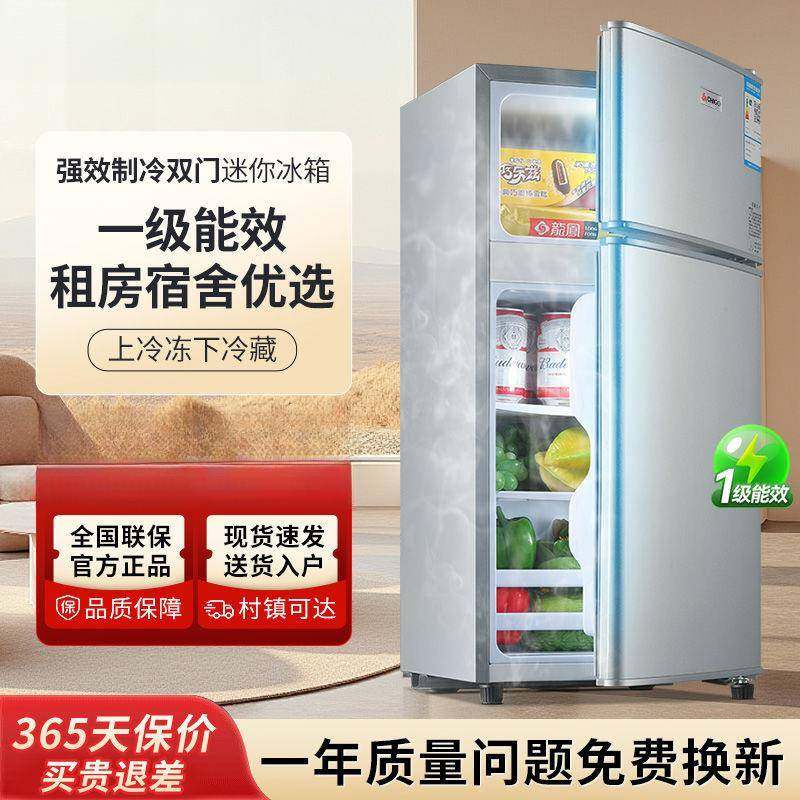 一级箱能效小冰双家用小宿型舍租房用迷你省电办公室门RAK电冰箱