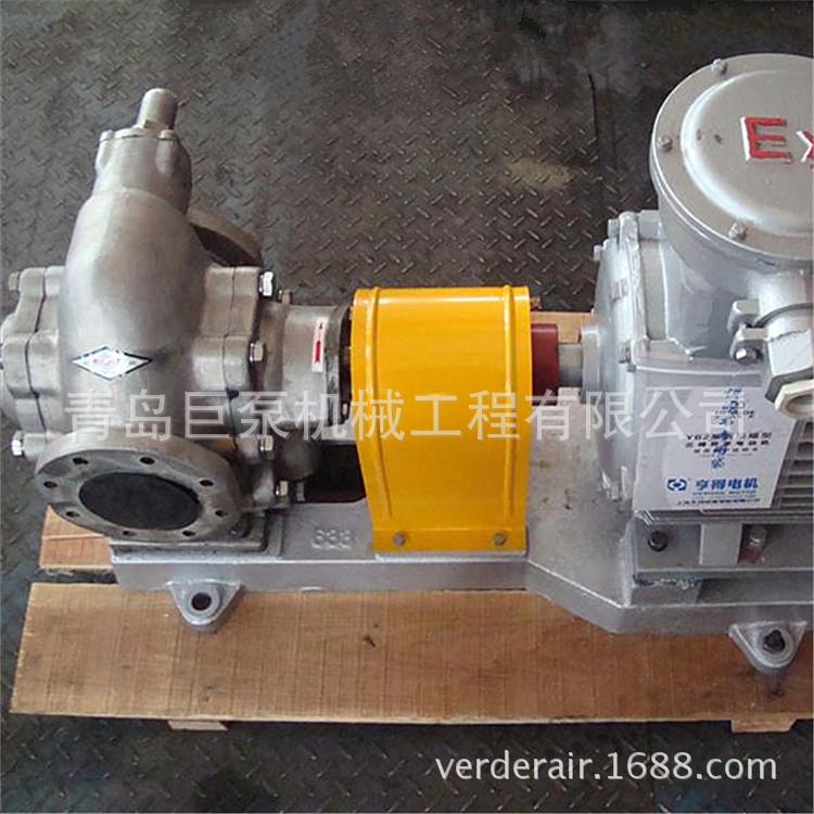 轮油泵齿CB-6200不锈钢齿轮油K泵1L材质（山东齿轮RM油泵）