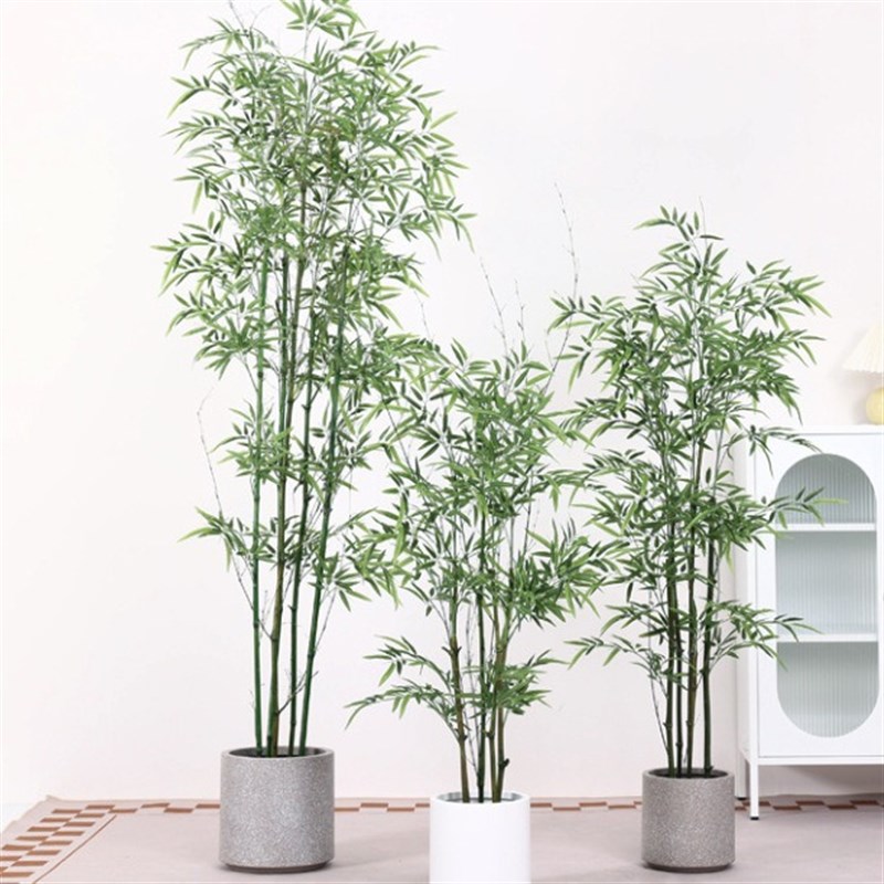 速发竹子植盆子竹栽室内装饰园林景观假物竹子盆栽假绿植