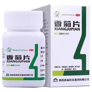 东秦牌 香菊片 0.32g*60片 缓解鼻炎鼻塞流涕鼻不适