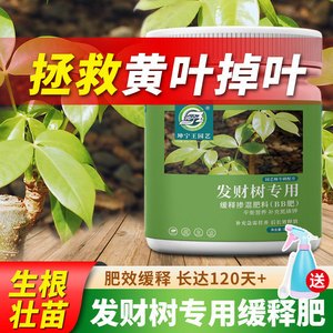 速发发财树专用缓释绿室内盆栽防黄叶壮根肥释通用控植颗粒