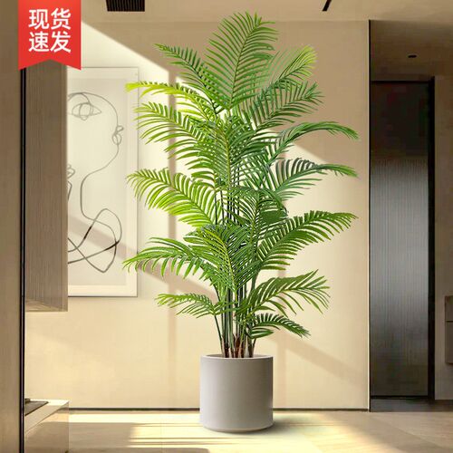 大型客厅落地摆件室内沙发电视柜旁边假植物仿生T花散尾葵仿真绿