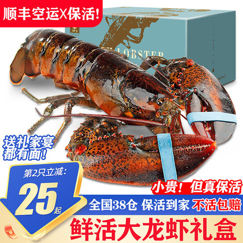 保活到家波龙礼盒2只更划算