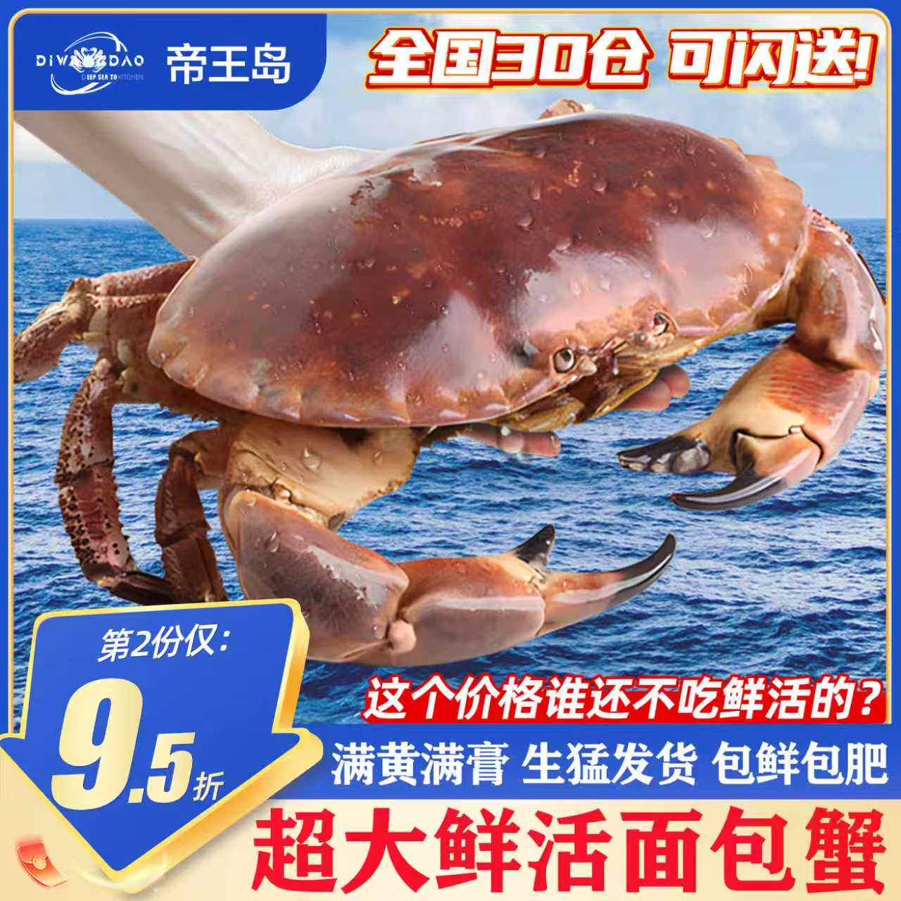 【活蟹】面包蟹鲜活超大黄金蟹母蟹膏蟹鲜活帝王蟹海鲜蟹类水产