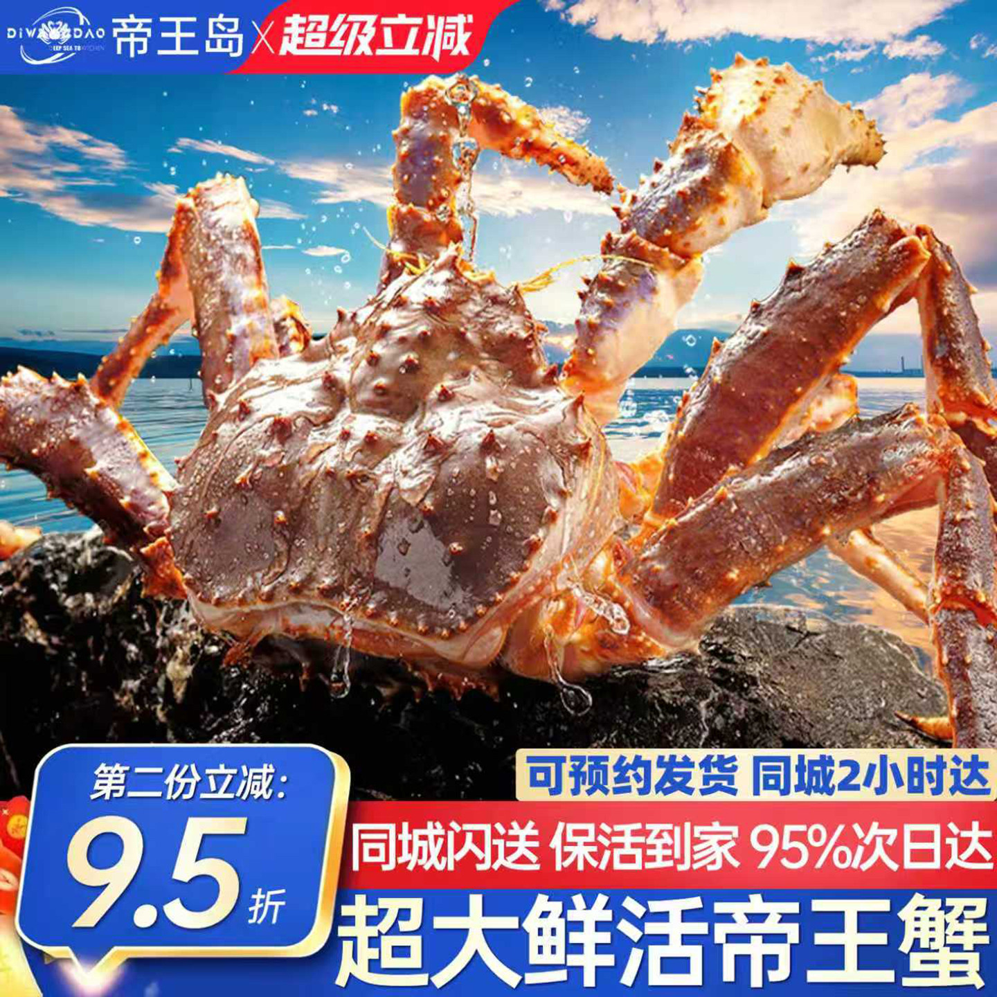 【活蟹】鲜活帝王蟹俄罗斯进口超大特大皇帝蟹大螃蟹鲜活海鲜蟹类