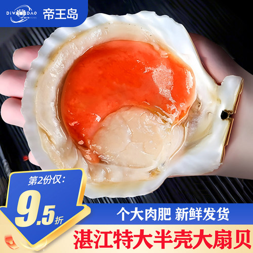 半壳大扇贝新鲜速冻超大500g5-7个蒜蓉粉丝蒸扇贝海鲜水产烧烤用