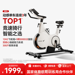麦瑞克动感单车专业家用款 室内自行车骑行减肥运动健身器材绝影X