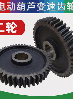 速发电动葫芦二轮0.5T1T2 5动10T16T20TT电T葫芦变速齿轮 葫芦变
