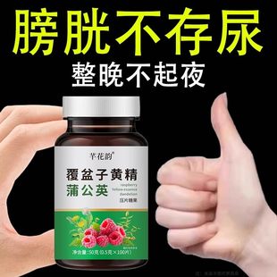 尿频尿急小便次数多起夜频繁覆盆子黄精蒲公英片夜尿频繁