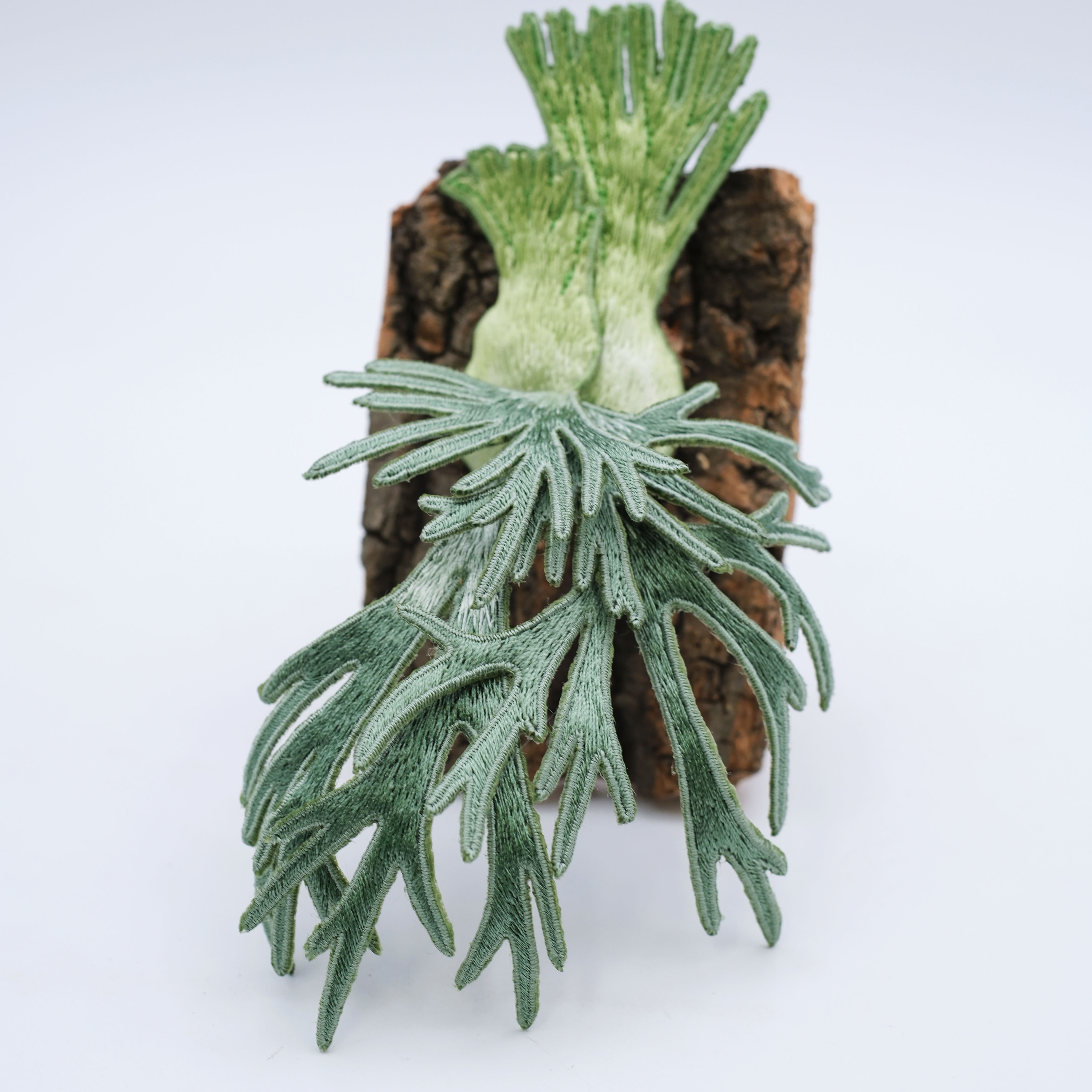 冰箱贴鹿角蕨细菌刺绣野银