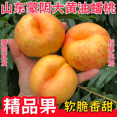 蒙阴彩虹油蟠桃黄心脆甜多汁