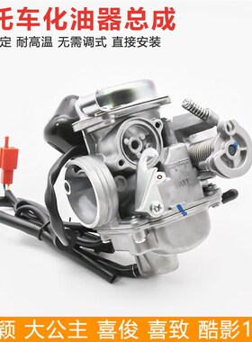 踏板车大公主 WH125T-3A-5A-6佳颖 喜俊 喜致 酷U影 摩托车化油器