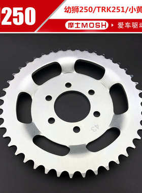 小黄龙BJ250-15 幼狮250大小链轮 TRK251牙盘 TNT25征和油封链条