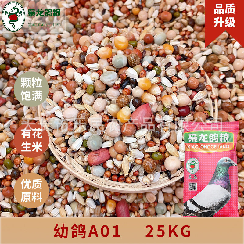 枭龙鸽粮幼鸽A01营养鸽子食赛鸽信鸽观赏鸽鸟食50斤浙江沪皖包邮