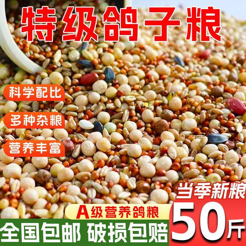 鸽粮营养鸽子鸟食饲料肉鸽幼鸽信鸽玉米成鸽观赏鸽包邮直发工厂