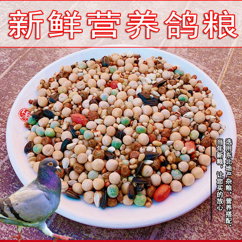 鸽子粮 无玉米鸽粮食营养饲料鸟食信鸽观赏鸽肉鸽幼鸽成鸽粮5斤装