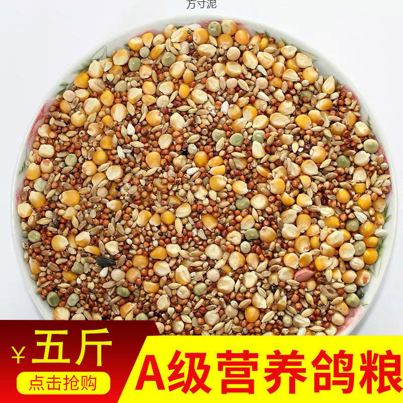 鸽粮鸽子粮新粮有玉米无玉米鸟食饲料5斤10斤信鸽观赏鸽厂