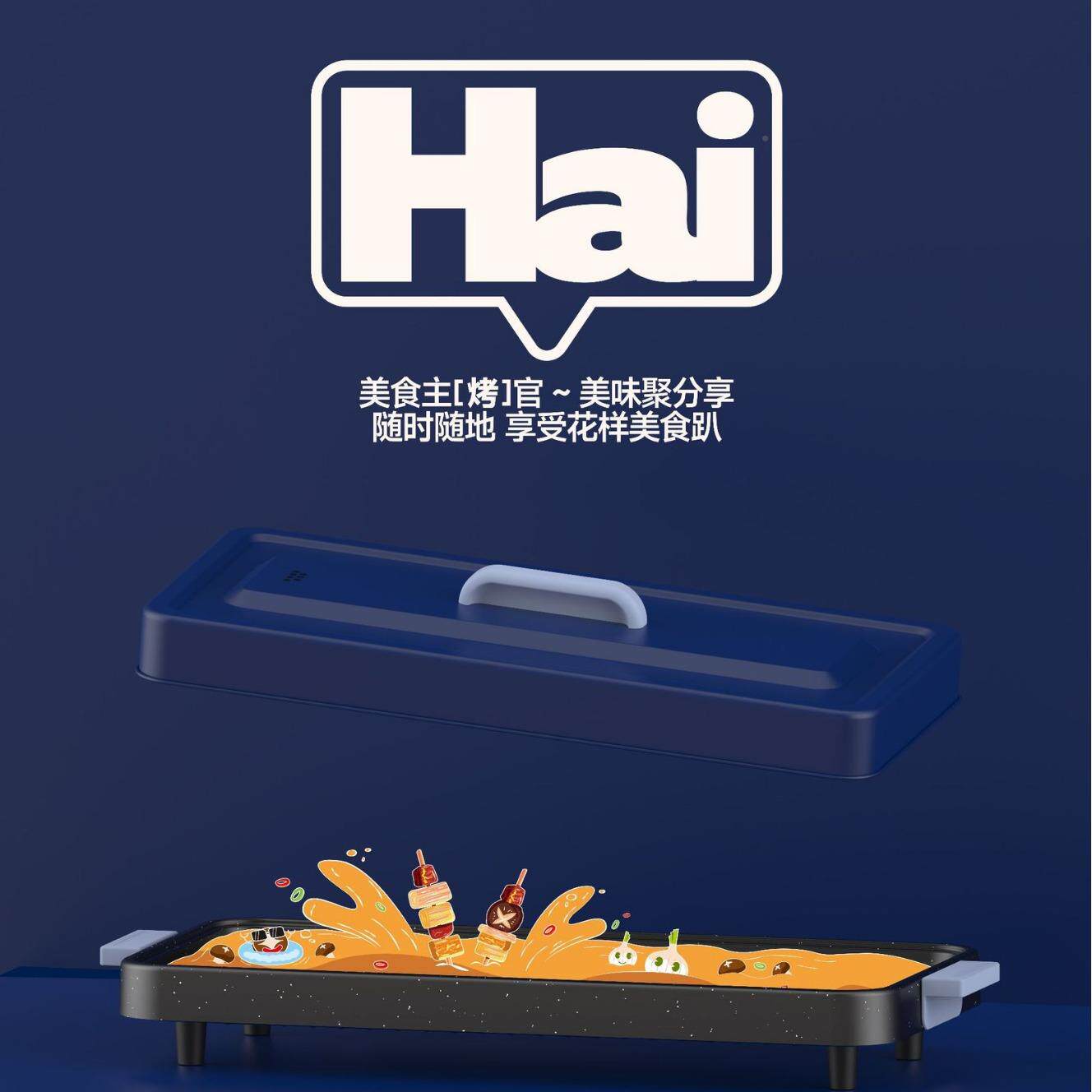 带盖子电盘家K1用烤肉烤煎鱼多能烤盘烧烤架煎肉欧烧烤盘插英功插