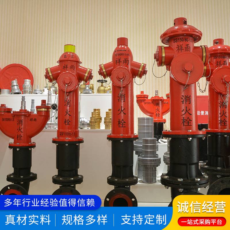 祥雨消火栓SS100/150/65-1.6地上地下室外消火栓水泵接合器