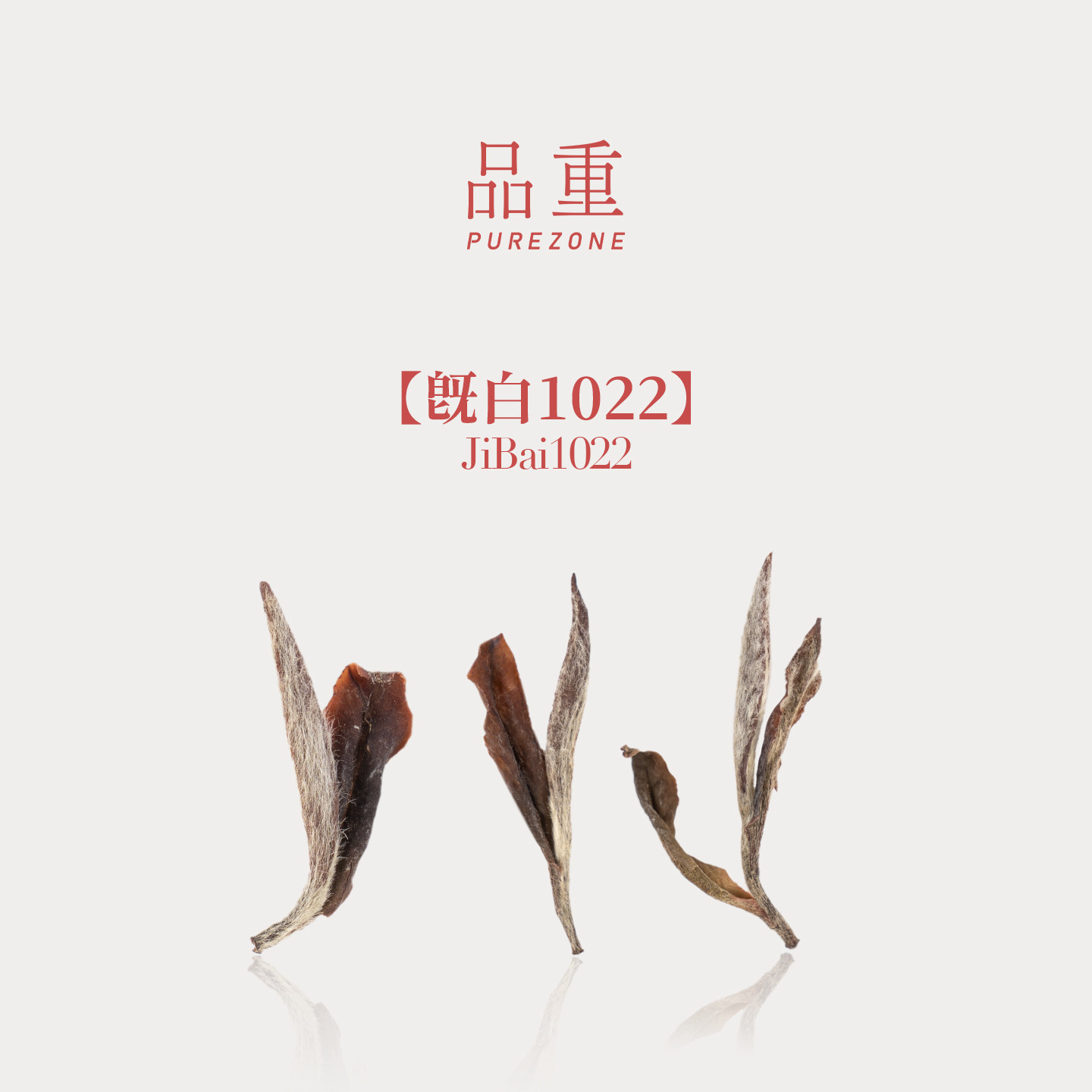 品重『既白1022』2010年牡丹王福鼎白茶磻溪特级白牡丹散茶茶叶