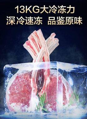 容306BD/BC-30升能卧式冷柜冷藏冷冻商用大容声冰柜BD/效BC-3量06