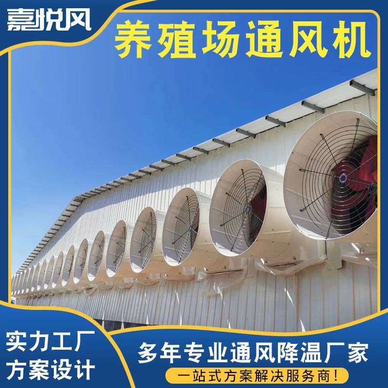 仓库通风工程 厂家定购设备 上门设计安装养殖厂学校降温通风工程