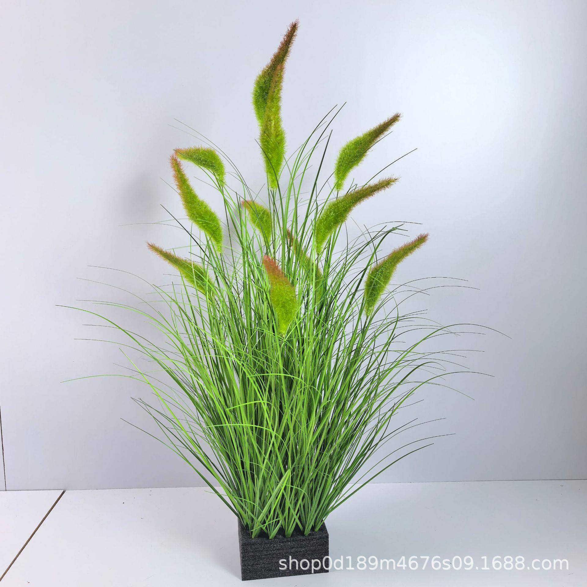 真仿饰绿植盆栽狗尾巴草0072装仿真洋葱草造景布置真兔尾盆景装饰