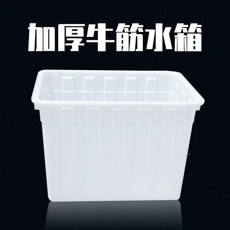雨水胶收集器水桶储水桶97超养大鱼水箱透明方装箱塑桶方桶正方形