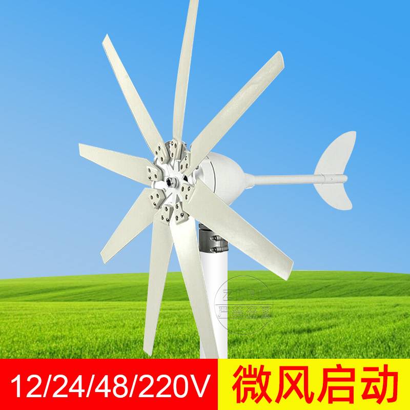 1000W风力涡轮机带8叶片MPPT控制器12/24/48/220V家用小型风力涡