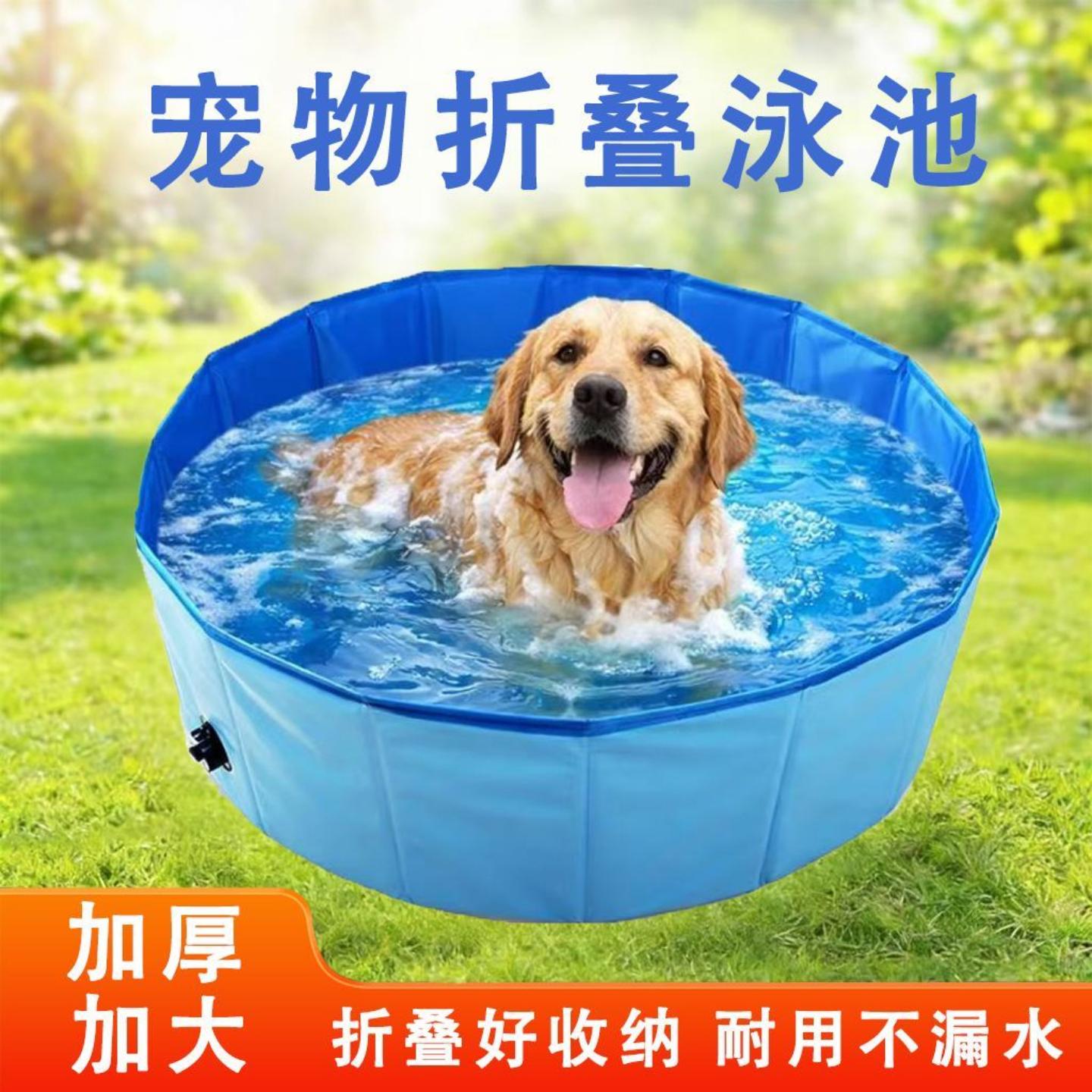 狗洗澡盆游泳池水池户外宠物可水
